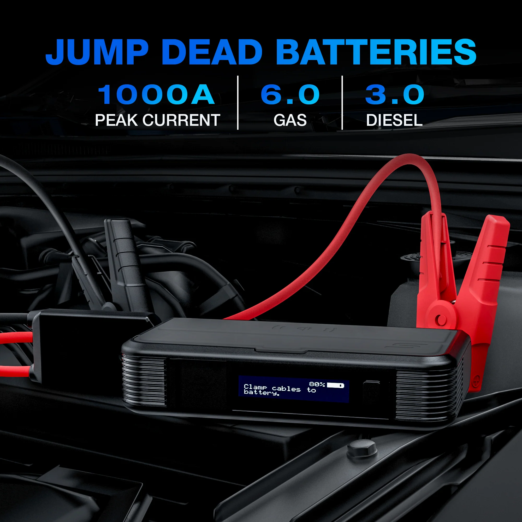Dynamic Plus (Type C) - DP10C - Image 4